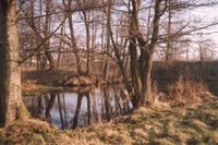 Naturalny ciek wodny na terenie wsi Somka. Prawy dopyw Mawki