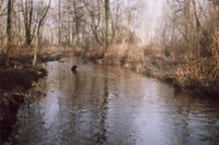 Dwukolanka - naturalny ciek wodny
