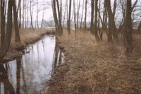 Dwukolanka - naturalny ciek wodny