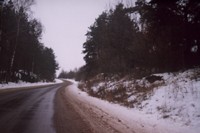 Droga wiodca przez las w okolicy Kczewa