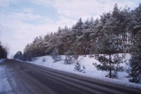 Las iglasy w okolicy Turzy Maej