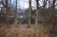 Park podworski w Kczewie