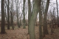 park podworski w Zawadach