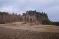 Pagrek wzgrz morenowych w okolicy Woli Kczewskiej